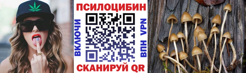 Галлюциногенные грибы Psilocybe  Белоусово 